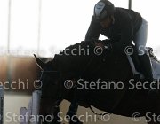 Dahila della Verdina TosTour2013- S4 6335 : Arezzo, Arezzo Equestrian Centre, Cavalli d'Italia, Dahila della Verdina, Toscana Tour 2013, foto di Stefano Secchi ©